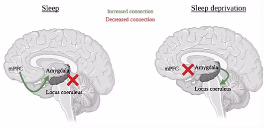 截屏2024-12-20 19.01.27.png